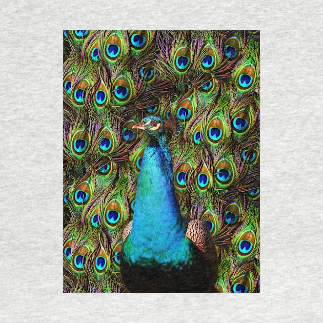 This peacock is watching you! by BonniePhantasm